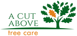 A Cut Above Tree Care Leicester